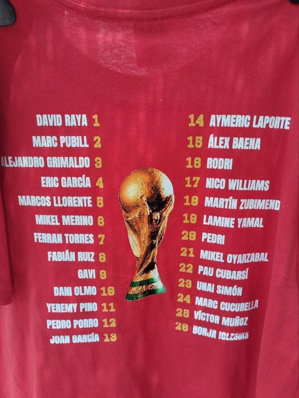 Heren T-shirt wereldkampioenen – photo 2